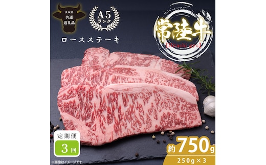 【3回定期便】最高級A4.A5ランク 常陸牛ロースステーキ750ｇ（250g×3）×3回【人気肉 お肉 牛肉 和牛 黒毛和牛 国産黒毛和牛 ロース肉 ステーキ 国産牛 焼肉 焼き肉 バーベキュー BBQ A5 ブランド牛】(CR110)