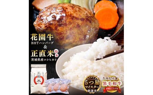 正直米とBHTハンバーグ【米 お米 こめ ハンバーグ 肉 お肉 贅沢 冷凍 茨城県 北茨城市】(BY003)
