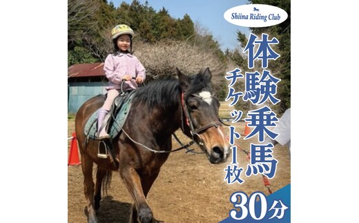 Shiina Riding Club 乗馬体験30分【茨城県 北茨城市 アクティビティ おでかけ レンタル 体験 チケット 馬】（DA001）