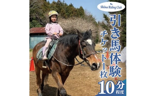 Shiina Riding Club 引き馬体験10分程度【茨城県 北茨城市 アクティビティ おでかけ レンタル 体験 チケット 馬】（DA002）