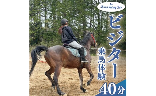Shiina Riding Club ビジター乗馬体験40分【茨城県 北茨城市 アクティビティ おでかけ レンタル 体験 チケット 馬】（DA003）