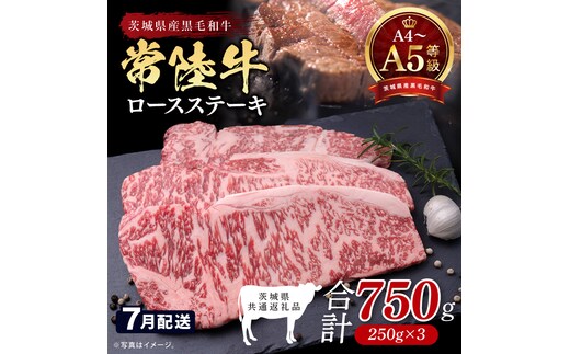 【2026年7月発送予定】最高級A4.A5ランク 常陸牛ロースステーキ750ｇ（250g×3）【人気肉 お肉 牛肉 和牛 黒毛和牛 国産黒毛和牛 ロース肉 ステーキ 国産牛 焼肉 焼き肉 バーベキュー BBQ A5 ブランド牛】(CR102-7)