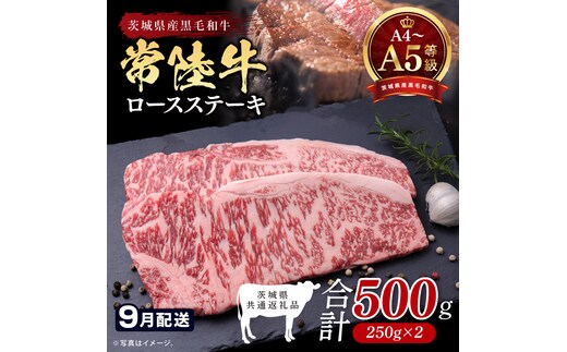 【2026年9月発送予定】最高級A4.A5ランク 常陸牛ロースステーキ500ｇ（250ｇ×2）【人気肉 お肉 牛肉 和牛 黒毛和牛 国産黒毛和牛 ロース肉 ステーキ 国産牛 焼肉 焼き肉 バーベキュー BBQ A5 ブランド牛】(CR101-9)