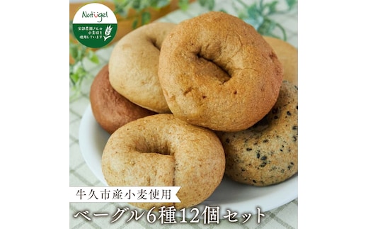 牛久市産小麦のベーグル6種・12個セット