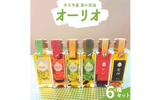 牛久市産 菜の花 油 『 オーリオ 』 6種 セット 詰合せ ふるさと納税限定 食用油 オリーブオイル 調味料 料理 パスタ バケット ロッソ ニンニク にんにく ハーブ バジル 辣油 葱油 常温