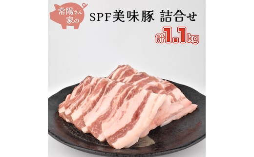 常陽さん家の SPF 美味豚 詰合せ 計 1.1kg 食べ比べ セット 豚肉 ロース しゃぶしゃぶ用 300g×2 バラ焼き肉用 500g 計 1.1kg 国産 ブランド豚 銘柄豚 茨城 SPF認定 農場 焼肉 焼き肉 豚ロース 豚バラ ロース バラ お肉