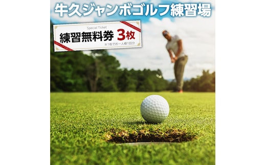 牛久ジャンボゴルフ練習場練習無料券 3枚綴り ゴルフ ゴルフ場 練習券 利用券 プレー プレー券 チケット ゴルフチケット 打ち放題 打ちっぱなし 270ヤード 屋外 茨城