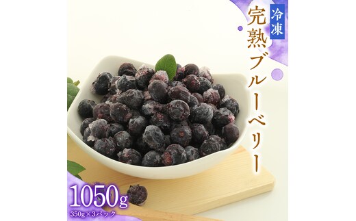  冷凍 完熟 ブルーベリー 1,050g（ 350g × 3パック ） 数量限定 ベリー 甘い 甘酸っぱい 完熟 新鮮 フルーツ 果物 くだもの 贈り物 贈答 ギフト 国産 茨城 農園 産地直送