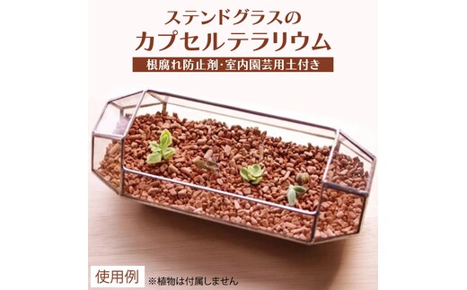 ステンドグラスのカプセルテラリウム