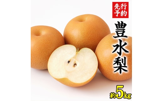 《 先行予約 》 茨城県産 梨 豊水 （約 5kg）【 2026年 9月上旬頃より発送開始 】 梨 なし 果物 フルーツ 新鮮 旬 期間限定 甘い 国産