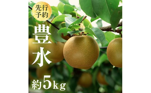 【 2026年8月下旬発送開始 】 茨城県産 梨 豊水 （約 5kg ） 10～14玉 梨 なし 和梨 日本梨 果物 フルーツ 新鮮 旬 期間限定 国産 先行予約