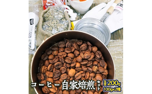 コーヒー 自家焙煎 セット コーヒー豆 200ｇ 2種 × 100ｇ コーヒー ブレンド 生豆 焙煎 初心者 お手軽