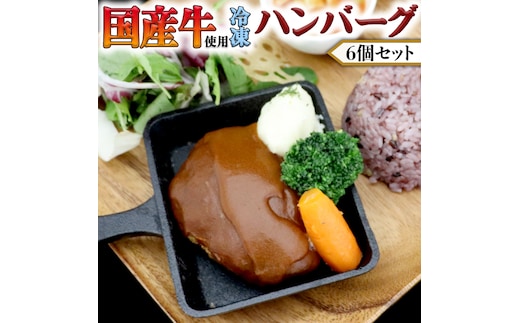 国産牛使用 こだわり 冷凍 ハンバーグ 6個 セット 牛肉 洋食 究極 本格 ビーフシチュー デミグラス レンジ可 惣菜 簡単 時短 レンチン レンジ 