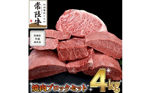 【 常陸牛 】 焼肉 ブロック セット 4kg ( 茨城県共通返礼品 ) 国産 焼き肉 サーロイン カルビ バラ バーベキュー BBQ お肉 ブランド牛