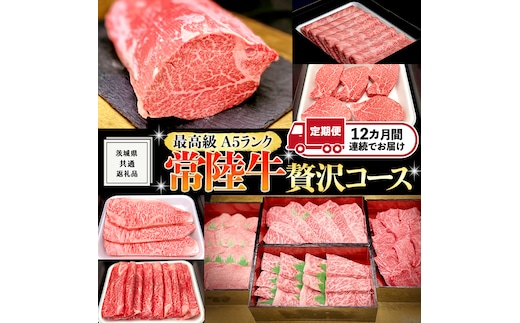 【 豪華 12回 定期便 】 最高級 A5ランク 常陸牛 贅沢コース ( 茨城県共通返礼品 ) 高級 国産 お肉 肉 ブランド牛 希少部位 ヒレ サーロイン ロース もも 焼肉 BBQ ステーキ しゃぶしゃぶ すき焼き