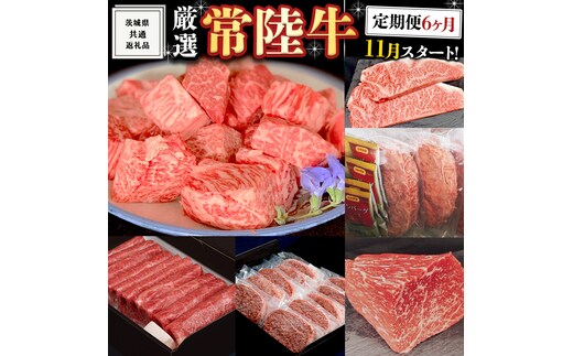 《 定期便 11月スタート 》 厳選 『 常陸牛 』 6ヶ月セット ( 茨城県共通返礼品 ) 肉 焼肉 国産 霜降 サーロイン もも ハンバーグ ステーキ すき焼き しゃぶしゃぶ