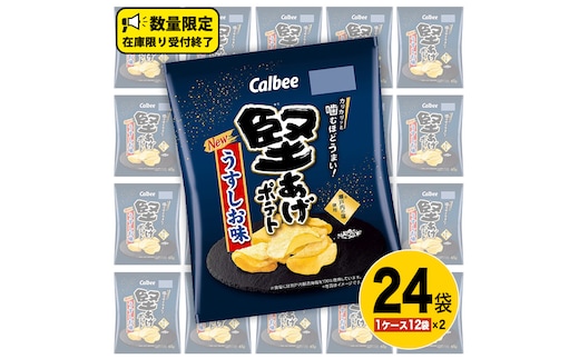 カルビー 堅あげポテト うすしお味 24袋 ( 2ケース ) 65g ポテチ お菓子 おかし 大量 スナック おつまみ ジャガイモ じゃがいも まとめ買い 数量限定