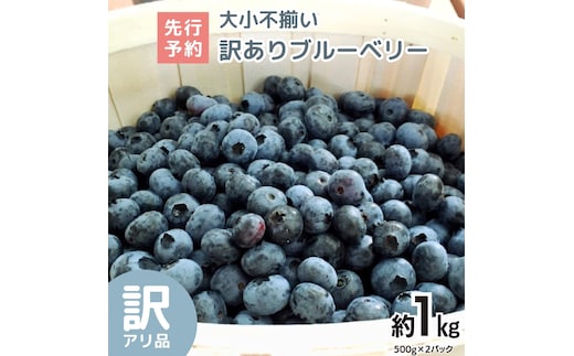 《 先行予約 》ブルーベリー 大小不揃い 約 1kg【2026年6月中旬頃より発送開始】 訳アリ B品 お得 甘い 甘酸っぱい 産地直送 おやつ デザート ジャム スムージー