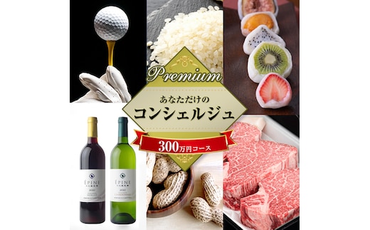 あなただけの プレミアム コンシェルジュ コース ( 300万円 ) 特別 オーダーメイド サービス