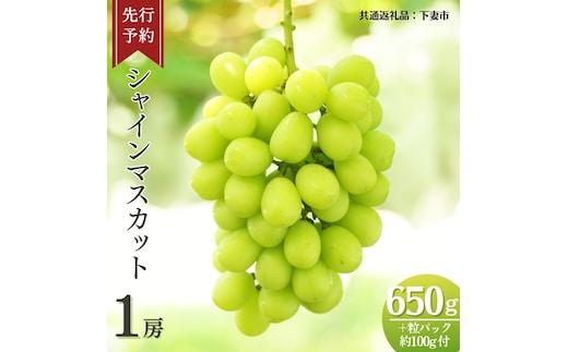 《 先行予約 》 シャインマスカット 1房 ( 約650g + 粒パック 約100g付 )【2026年8月下旬頃発送開始】 ( 共通返礼品：下妻市 ) フルーツ 果物 マスカット ぶどう 葡萄 ブドウ 旬 国産 産地直送 化粧箱 ギフト 【石崎ぶどう園】