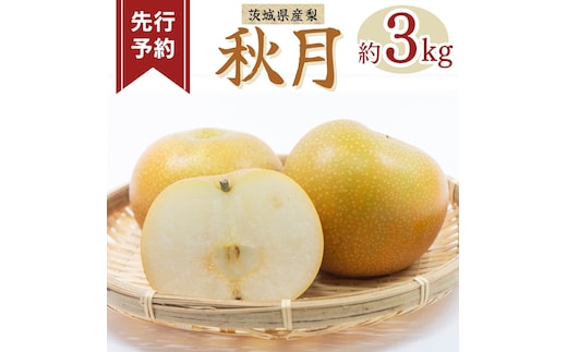 《 先行予約 》秋月 6～9玉 ( 約3kg ) 【 2026年8月下旬発送開始】 フルーツ 果物 なし ナシ 旬 新鮮 旬 期間限定 甘い 国産