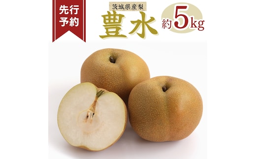 《 先行予約 》豊水 10～20玉 ( 約5kg ) 【 2026年8月下旬発送開始】フルーツ 果物 なし ナシ 旬 新鮮 旬 期間限定 甘い 国産