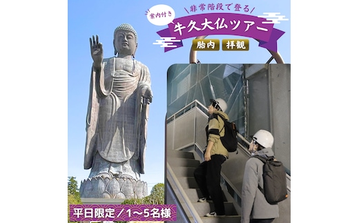 《 案内付き 》 非常階段で登る 牛久大仏 胎内 拝観 ツアー ※ 平日限定 ※ （ 5名様まで ） 貸切 体験 参加券 体験チケット 観光