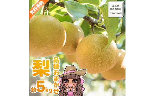【 先行予約 】 品種おまかせ 採れたて 完熟天使の 甘梨 約 5kg （ 茨城県共通返礼品： かすみがうら市 ） 【 2026年8月中旬頃発送 】 フルーツ 果物 なし ナシ 旬 新鮮 旬 期間限定 甘い 国産