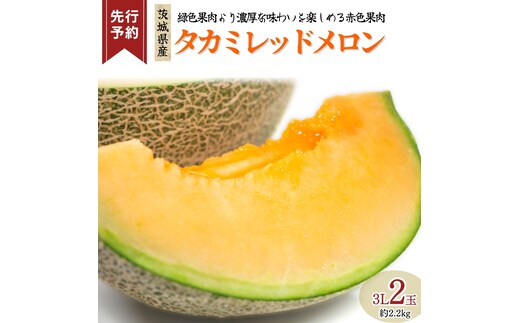 《 先行予約 》 タカミ レッド メロン 3L 2玉 ( 約 2.2kg ) 【 2026年5月下旬発送開始 】 果物 フルーツ 3Lサイズ タカミメロン 赤肉 めろん 期間限定 旬 国産 厳選