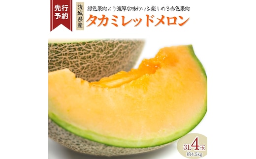 《 先行予約 》 タカミ レッド メロン 3L 4玉 ( 約 4.5kg ) 【 2026年5月下旬発送開始 】  果物 フルーツ 3Lサイズ タカミメロン 赤肉 めろん 期間限定 旬 国産 厳選