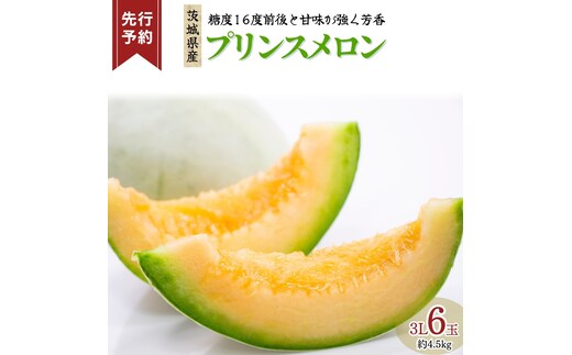 《 先行予約 》 プリンス メロン 3L 6玉 ( 約 4.5kg ) 【 2026年5月下旬発送開始 】 果物 フルーツ 3Lサイズ プリンスメロン ノ—ネットメロン 赤肉 めろん 人気 期間限定 旬 国産 厳選