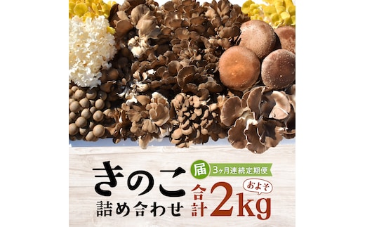 【3ヶ月定期便】きのこ の 詰め合わせ Lサイズ( 約2kg ) （茨城県共通返礼品：城里町） キノコ セット 野菜 低カロリー ダイエット デトックス バラエティ セット 新鮮