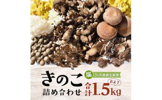 【 3ヶ月連続定期便 】きのこ の詰め合わせ Mサイズ ( 約1.5kg ) （茨城県共通返礼品：城里町） キノコ セット 野菜 低カロリー ダイエット デトックス バラエティ セット 新鮮