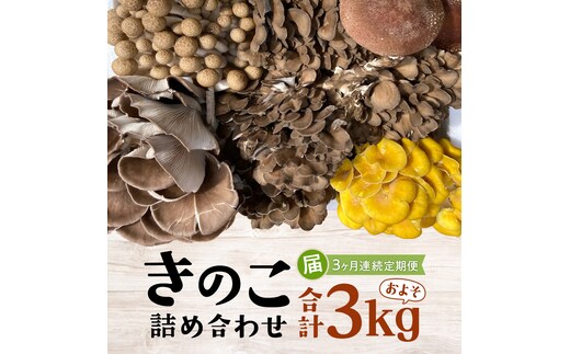  【 3ヶ月連続定期便 】きのこ の 詰め合わせ Sサイズ ( 約1kg ) （茨城県共通返礼品：城里町） キノコ セット 野菜 低カロリー ダイエット デトックス バラエティ セット 新鮮