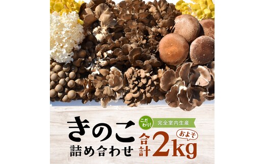きのこ の 詰め合わせ Lサイズ( 約2kg ) （茨城県共通返礼品：城里町） キノコ セット 野菜 低カロリー ダイエット デトックス バラエティ セット 新鮮