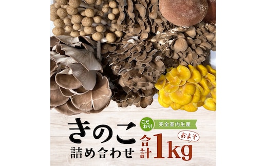 きのこ の 詰め合わせ Sサイズ ( 約1kg ) （茨城県共通返礼品：城里町） キノコ セット 野菜 低カロリー ダイエット デトックス バラエティ セット 新鮮