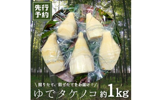 《 先行予約 》新鮮な ゆでタケノコ 約1kg 【2026年4月上旬以降発送】 竹の子 1キロ 筍 たけのこ 水煮 真空パック 国産 たけのこご飯 