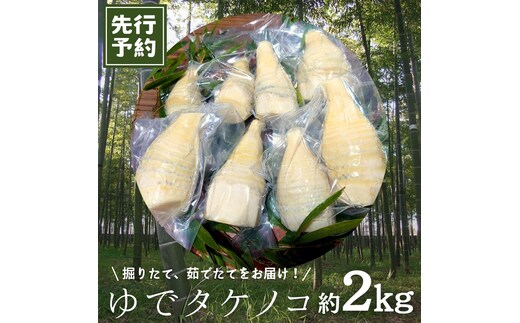 《 先行予約 》 新鮮な ゆでタケノコ 【2026年4月上旬以降発送】 約2kg 竹の子 2キロ 筍 たけのこ 水煮 真空パック 国産 たけのこご飯 