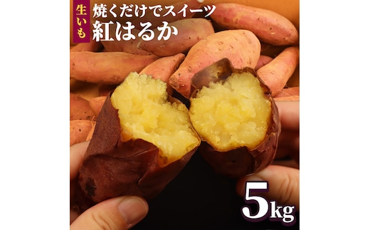 さつまいも 【 紅はるか 】 5kg ( 箱込 ) サツマイモ さつま芋 芋 いも べにはるか 野菜 焼き芋 スイーツ おやつ 国産