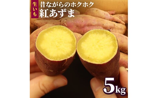 さつまいも 【 紅あずま 】 5kg 国産 農園 野菜 サツマイモ 芋 生いも 生芋 ベニアズマ 期間限定 甘さ控えめ ホクホク お菓子作り 料理 煮物 味噌汁 ご飯