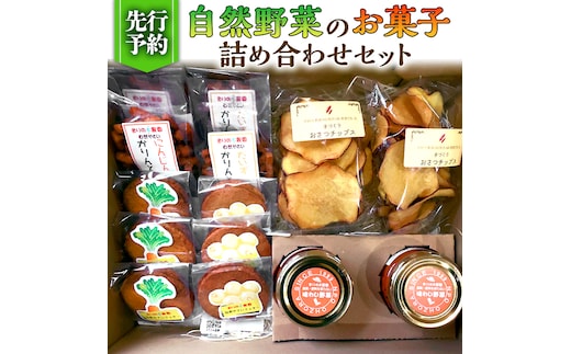 【 先行予約 】 自然野菜の お菓子 詰め合わせ セット （ 2025年12月頃より順次発送開始 ） 手作り クッキー かりんとう おつまみ 野菜 ジャム さつまいも にんじん 大豆 菓子 スイーツ