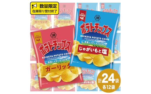 湖池屋 ポテトチップス 2種類アソート （じゃがいもと塩・ガーリック）（各12袋・計24袋） ポテチ お菓子 おかし 大量 スナック おつまみ ジャガイモ じゃがいも まとめ買い スナック菓子 数量限定