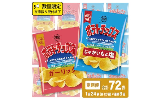 【 湖池屋 3ヶ月 定期便 】湖池屋 ポテトチップス 2種類アソート （じゃがいもと塩・ガーリック）（各12袋・計24袋 ×３回） ポテチ お菓子 おかし 大量 スナック おつまみ ジャガイモ じゃがいも まとめ買い スナック菓子 頒布会 数量限定