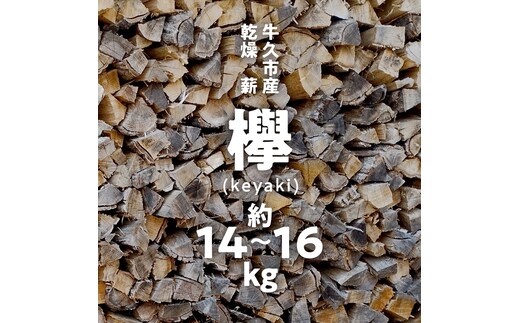 牛久市産 乾燥 薪 欅 ( けやき ) 約14kg～16kg 天然木 マキ 乾燥薪 広葉樹 キャンプ アウトドア 焚火 焚き火 薪ストーブ 暖炉 たき火 野外 屋外 バーベキュー薪 ピザ窯の薪 グリル焼