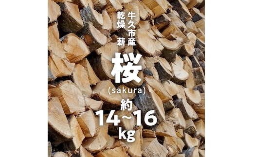 牛久市産 乾燥 薪 桜 ( さくら ) 約14kg～16kg 天然木 マキ 乾燥薪 広葉樹 キャンプ アウトドア 焚火 焚き火 薪ストーブ 暖炉 たき火 野外 屋外 バーベキュー薪 ピザ窯の薪 グリル焼