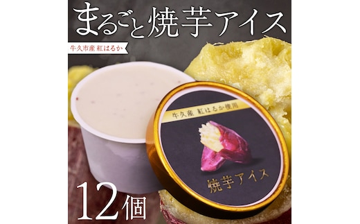 牛久市産 紅はるか 使用 焼き芋アイス 12個 入り アイスクリーム さつまいもスイーツ 焼き芋味 べにはるか 夏 アイス ギフト さつま芋 味 焼き芋 味 サツマイモ 冷凍 贈り物