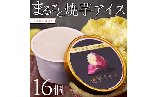 牛久市産 紅はるか 使用 焼き芋アイス 16個 入り アイスクリーム さつまいもスイーツ 焼き芋味 べにはるか 夏 アイス ギフト さつま芋 味 焼き芋 味 サツマイモ 冷凍 贈り物