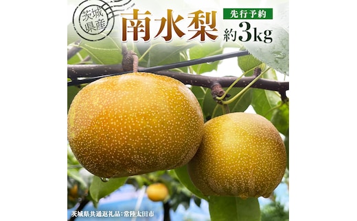 【 先行予約 】茨城県産 梨 南水 約3kg 7玉～9玉 ( 茨城県共通返礼品 : 常陸太田市 )【 2026年 9月中旬頃より発送 】 フルーツ 果物 国産 日本産 梨 ナシ なし 和梨 期間限定 数量限定