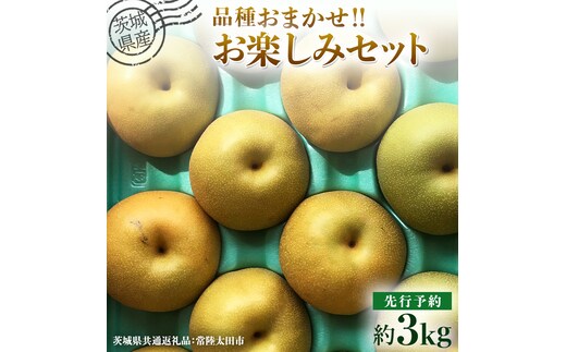 【 先行予約 】茨城県産 梨 品種おまかせお楽しみセット 約3kg 6玉～10玉 ( 茨城県共通返礼品 : 常陸太田市 )【 2026年 9月上旬頃より発送 】 フルーツ 果物 国産 日本産 梨 ナシ なし 和梨 期間限定 数量限定