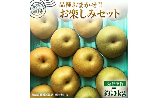 【 先行予約 】茨城県産 梨 品種おまかせお楽しみセット 約5kg 8玉～16玉 ( 茨城県共通返礼品 : 常陸太田市 )【 2026年 9月上旬頃より発送 】 フルーツ 果物 国産 日本産 梨 ナシ なし 和梨 期間限定 数量限定